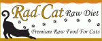 Rad Cat Image