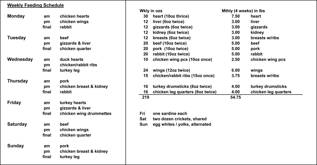 My Feeding Schedule