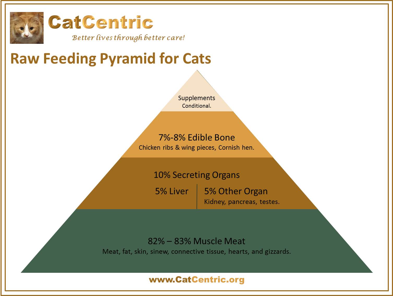 Raw Feeding Pyramid