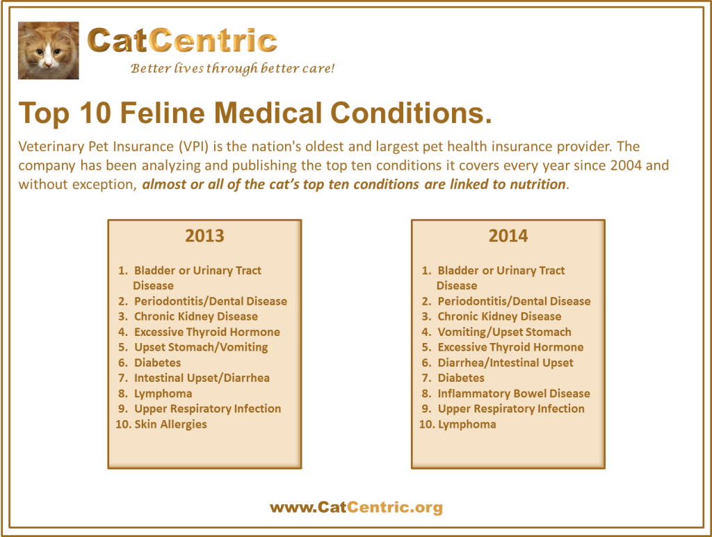 VPI Top 10 Feline Medical Conditions