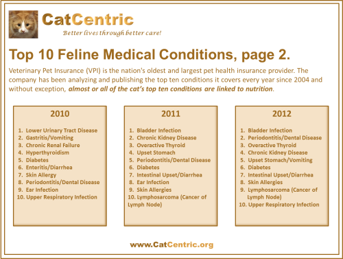VPI Top 10 Feline Medical Conditions, page 2