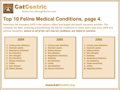VPI Top 10 Feline Medical Conditions, page 4